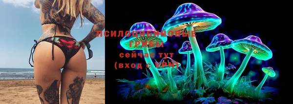 гидра Алзамай