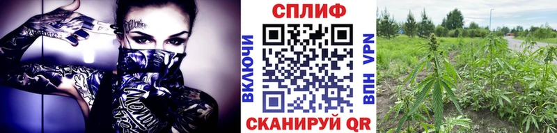 Каннабис AK-47  Сафоново 